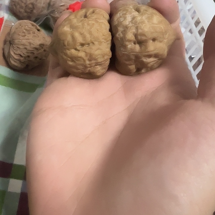 赤***练把件文玩核桃古蝉
