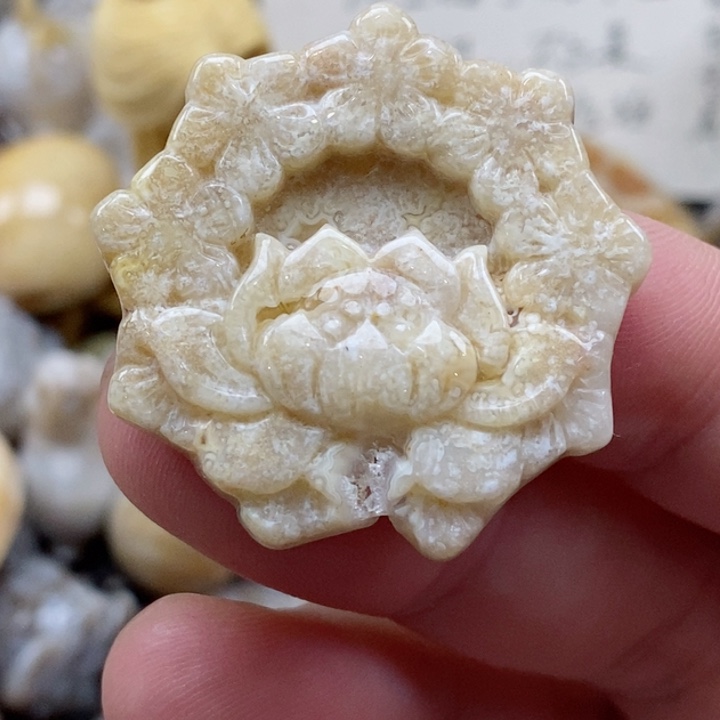 颈饰未镶嵌硅化珊瑚（珊瑚玉）小