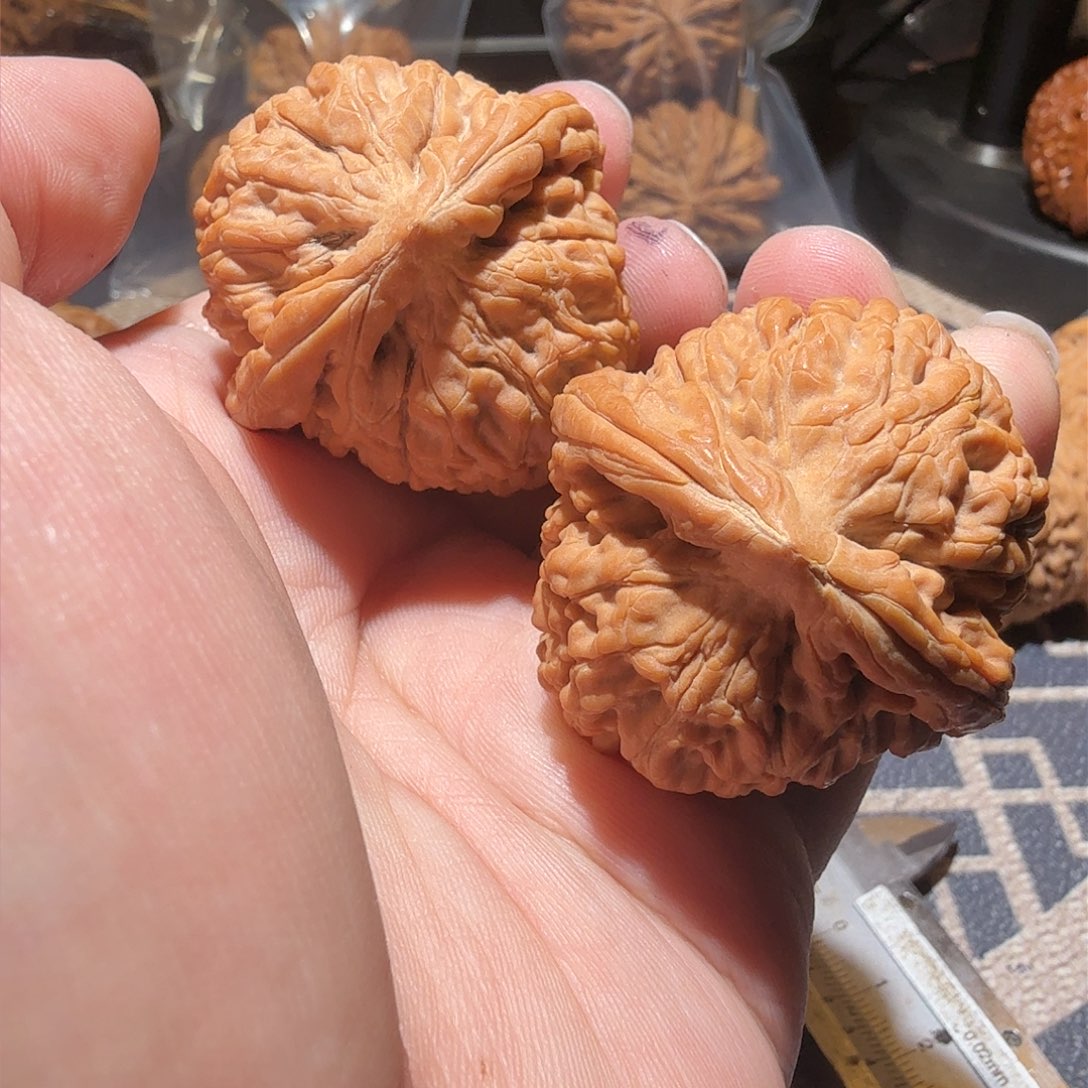 文玩核桃把件莲花·精品