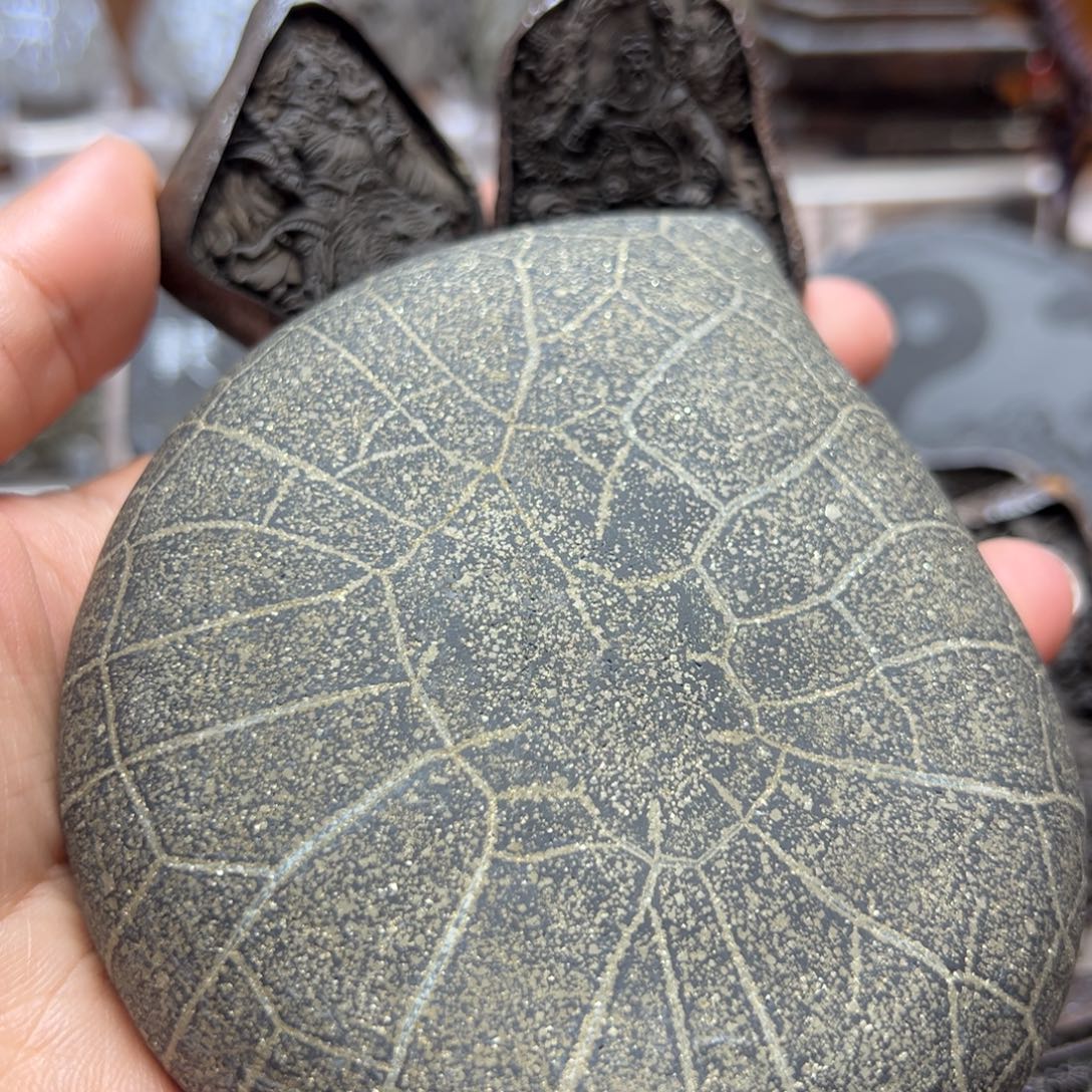 V***i小石头哈哈哈哈哈哈哈哈