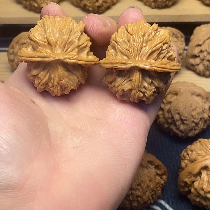 核桃42天地福利核桃