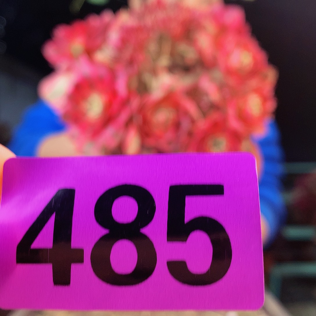 sssssssssssssssss485