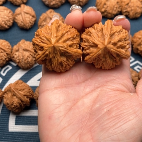 橄榄核手串/手链薄****?文山三棱