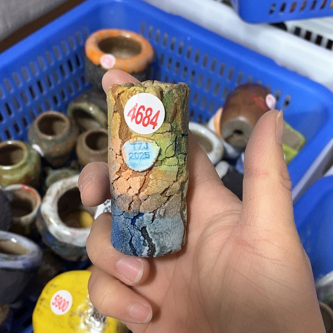 红陶拍5送一个小