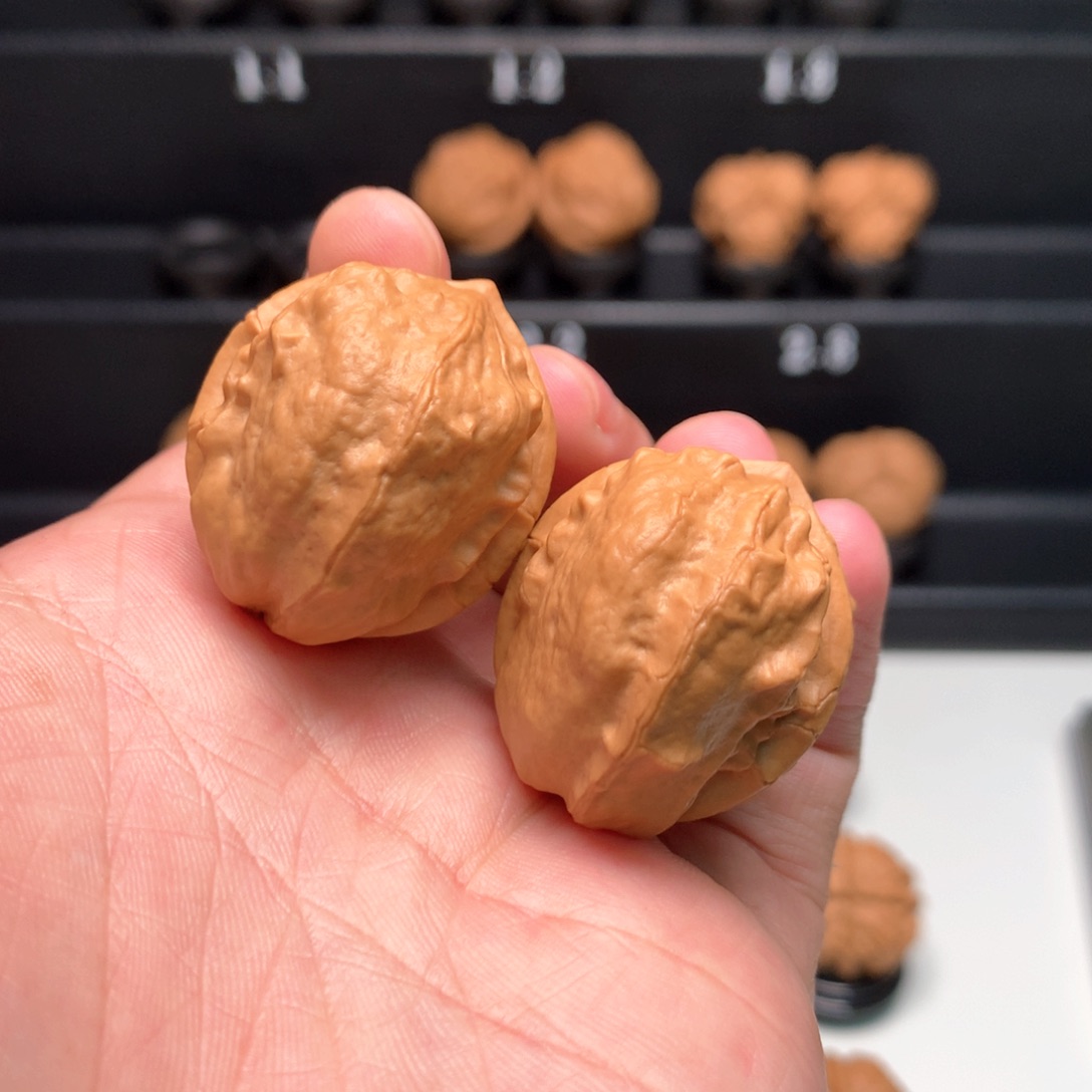 把件文玩核桃甲壳虫