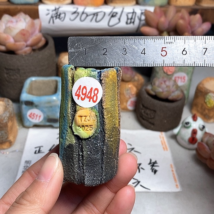 红陶拍5送一个小