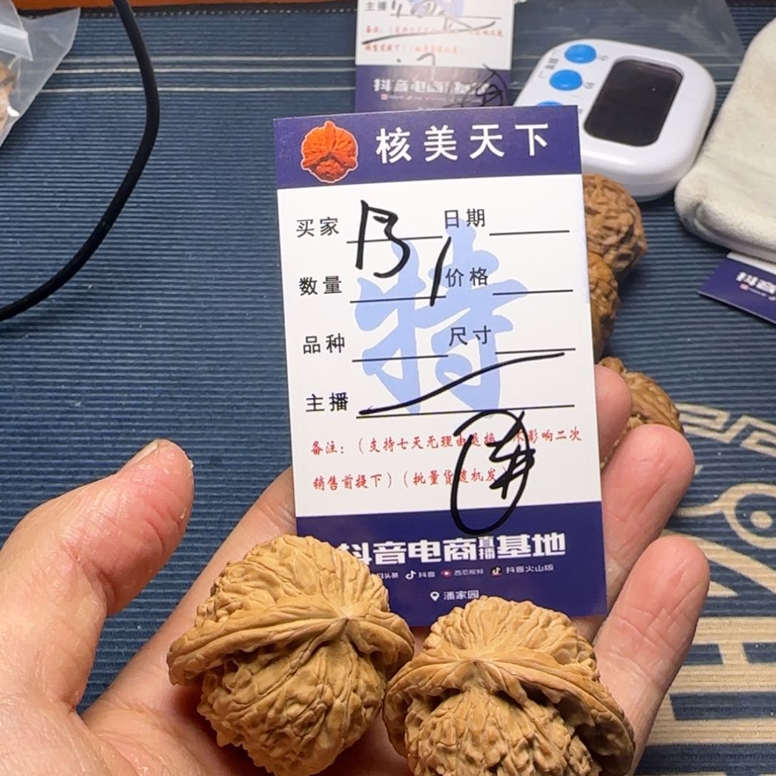 白狮子的故事是一