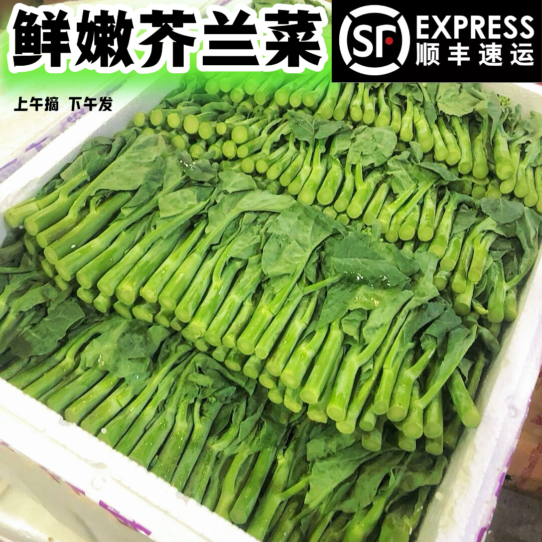 顺丰包邮新鲜芥兰菜农产当季脆嫩绿叶甘蓝广东小芥蓝现摘农家蔬菜