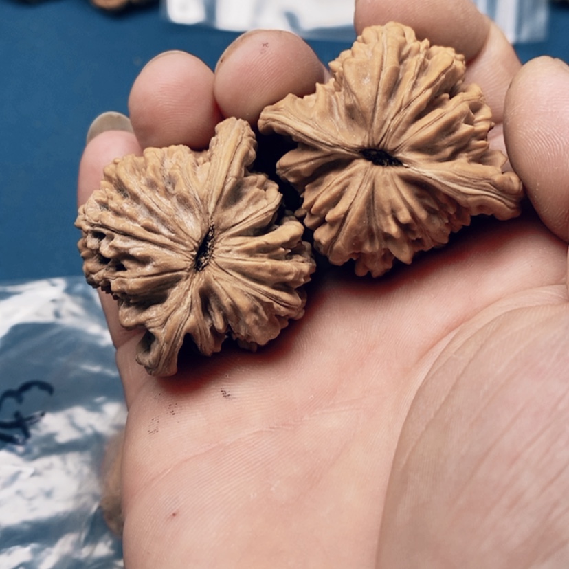 【闪购商品】文玩核桃吊坠?****韩55:55,55