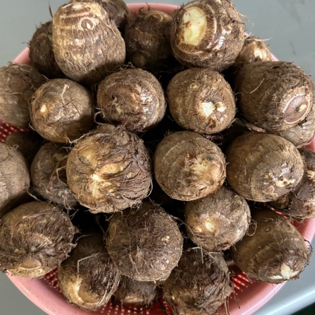 现挖现发正宗山东牛奶毛芋头农家自种软糯香芋精品芋头五斤装芋头