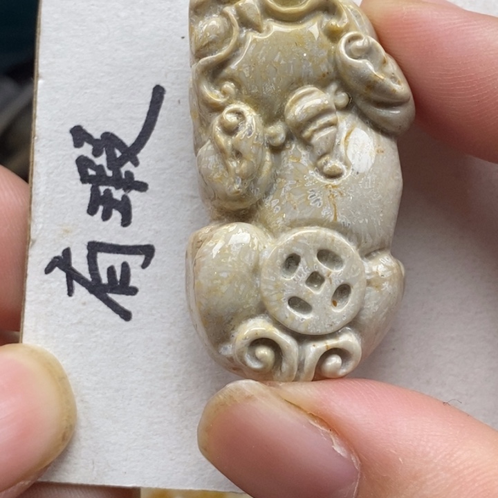 硅化珊瑚（珊瑚玉）未镶嵌颈饰