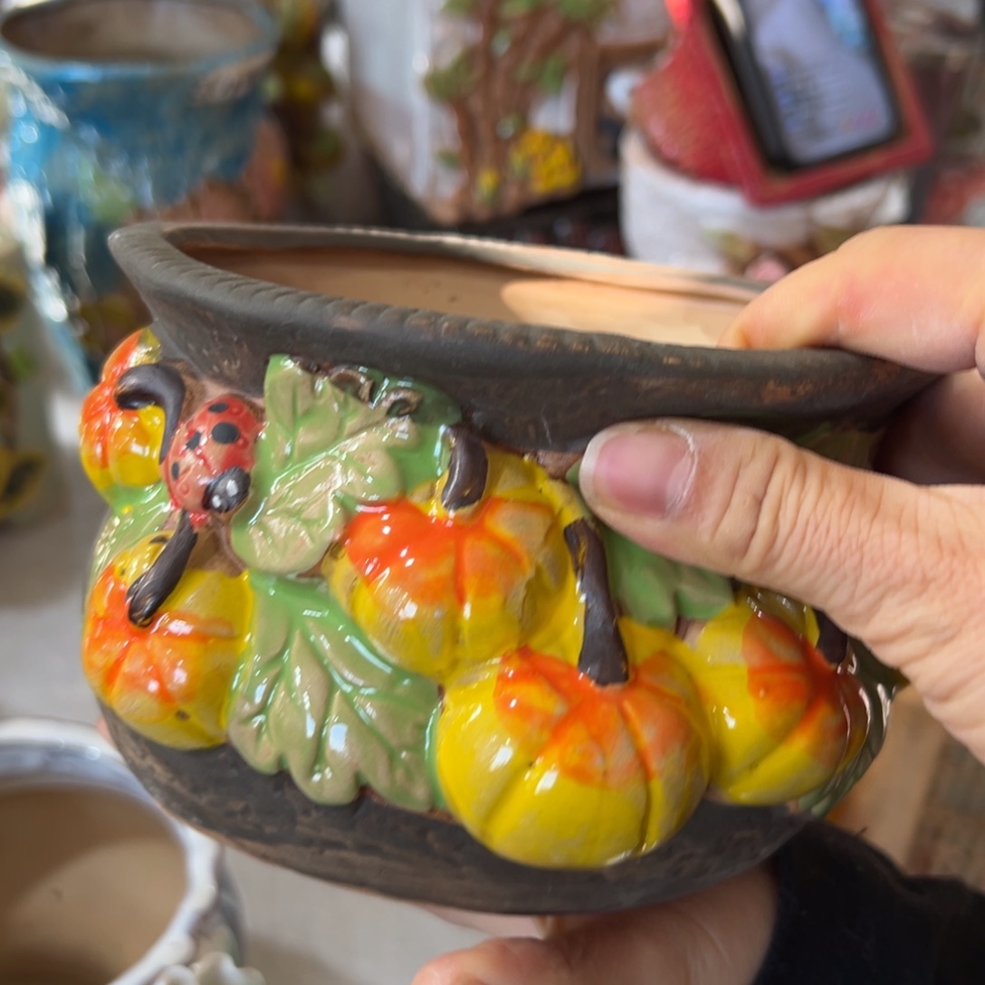 花盆，拍满20发货，退款拉黑