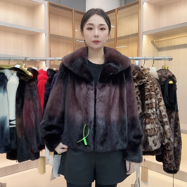 短款翻领紫色过渡0594