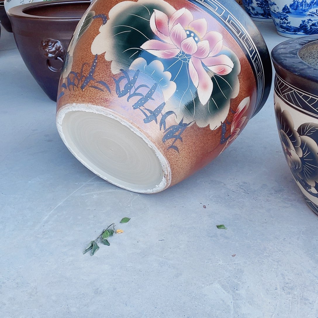 缸瓷器66高度43瓷器瓷器