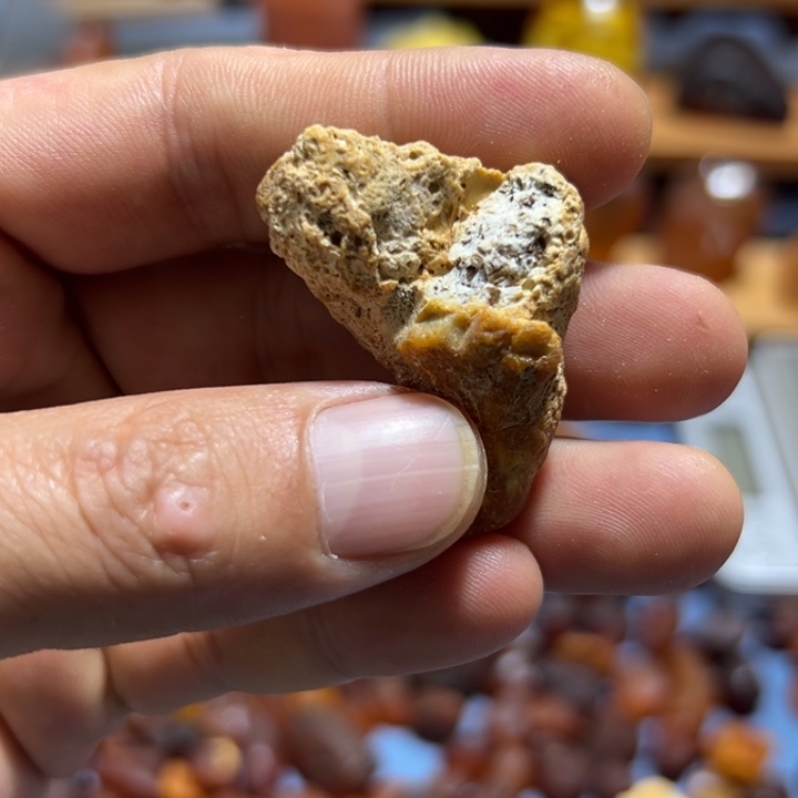 走***壳定制琥珀未镶嵌波罗的海琥珀