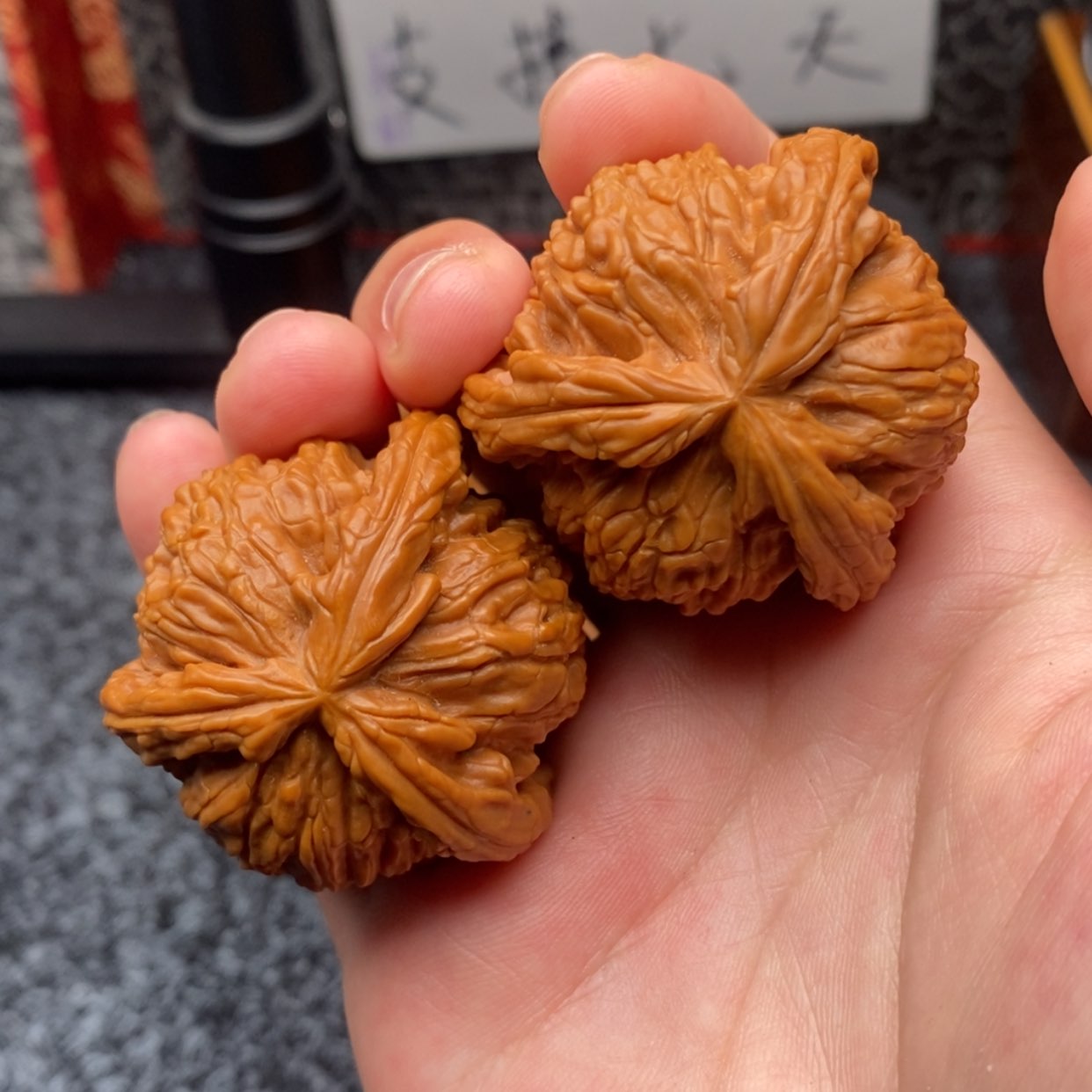 【闪购商品】暴***猩白狮子