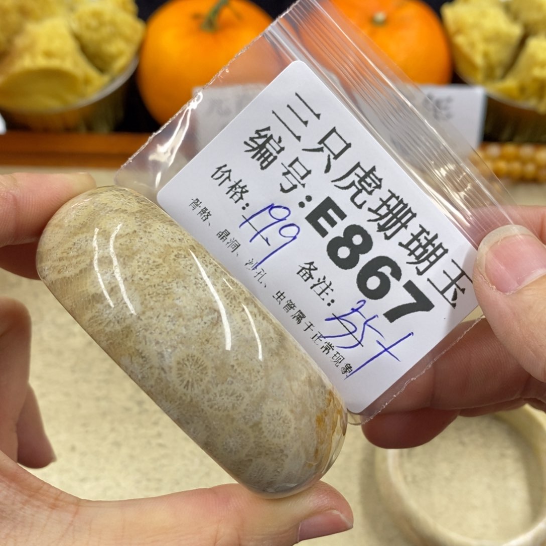 硅化珊瑚（珊瑚玉）1未镶嵌莫**儿