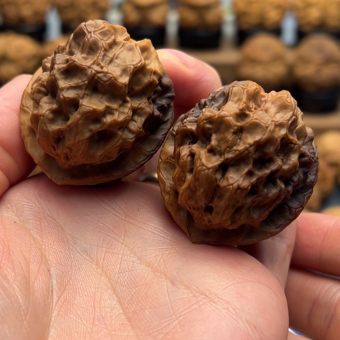 文玩核桃把件迷**眸铁核桃12-5