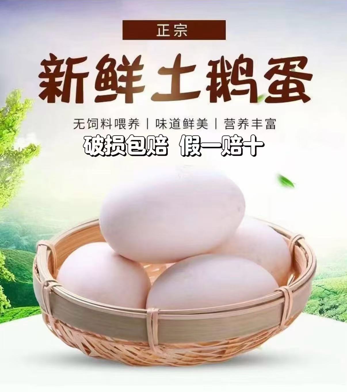 正宗农家散养保真土鹅蛋 现捡现发 一箱12枚 顺丰包邮【破损包赔】