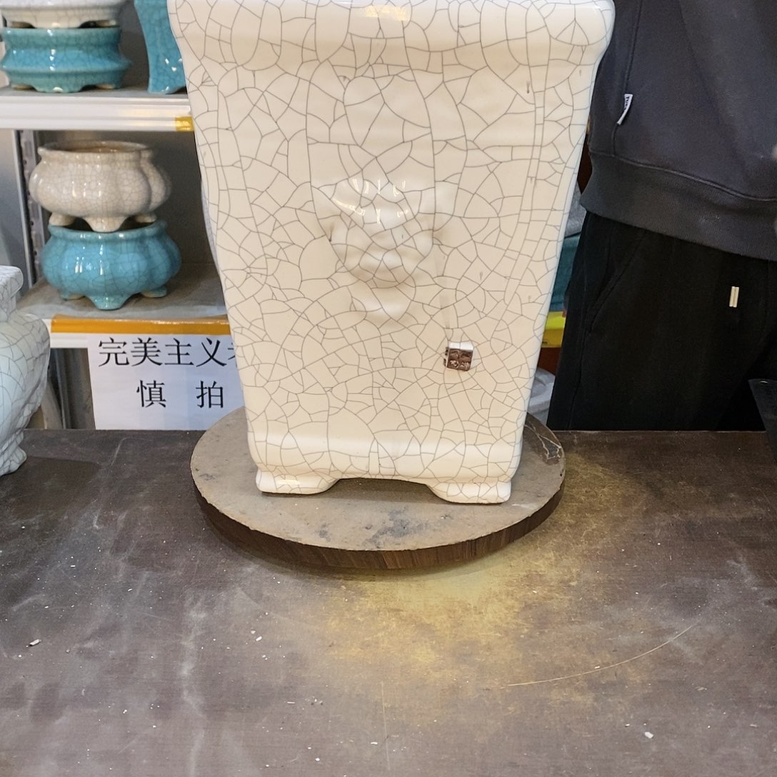 ?**?瑕疵花盆花盆里的花