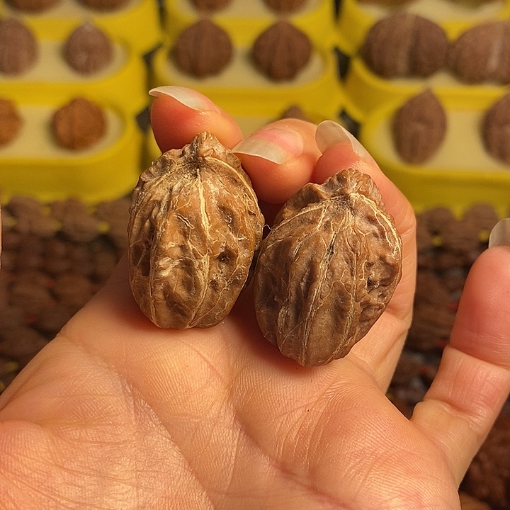 文玩核桃把件异形对