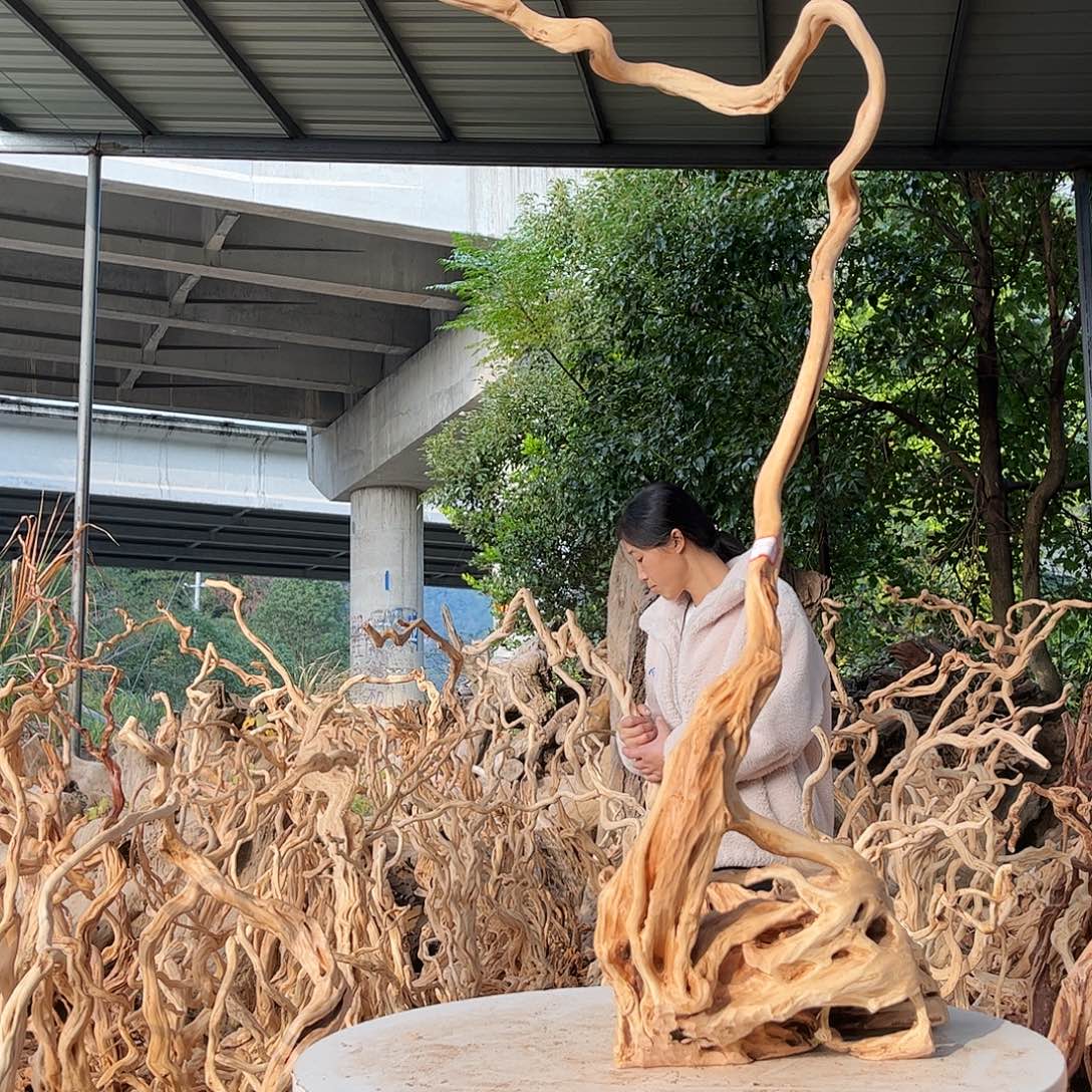 白***晶木218卡路里和斤斤计较看看