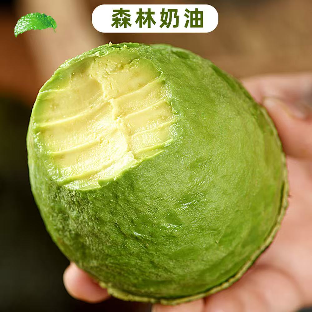 正宗云南哈斯牛油果现摘现发巨无霸190-220g/个