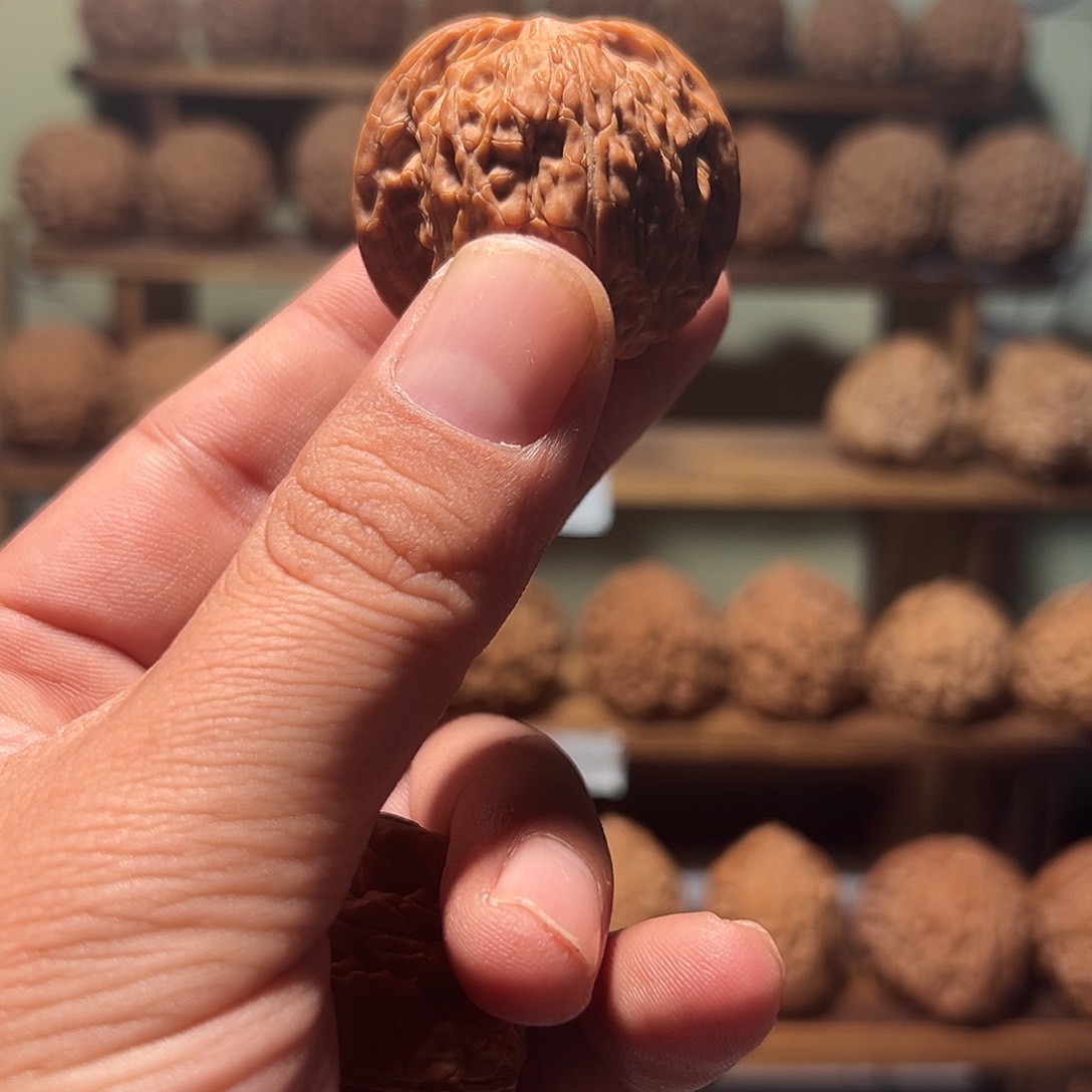 -****-文玩和他，磨盘核桃小尺寸