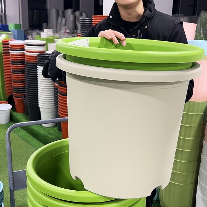 微瑕9号口46高40果绿色4只无托