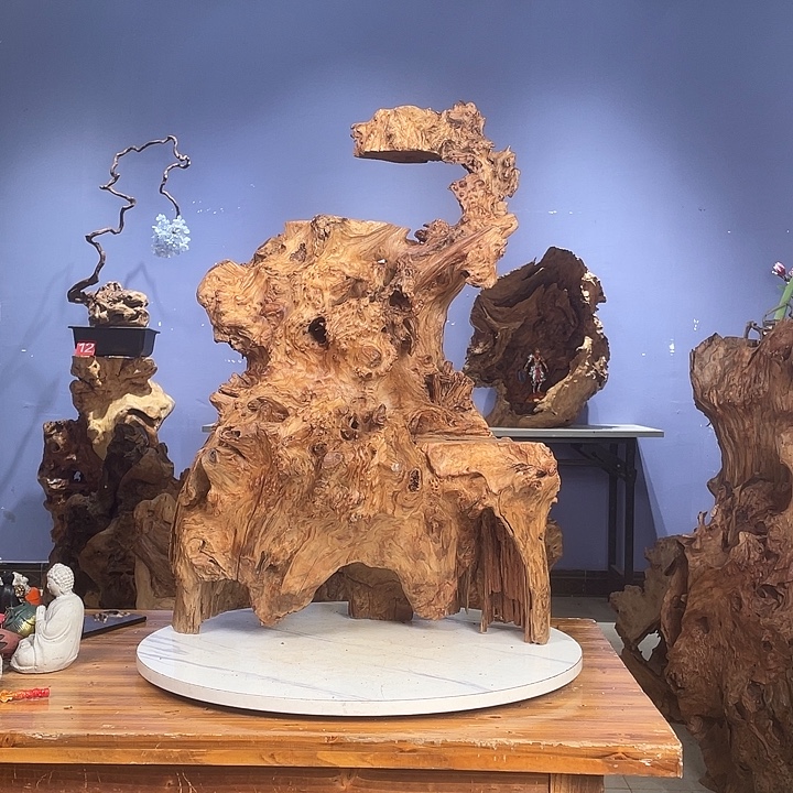 h***8香榧木12344555678888