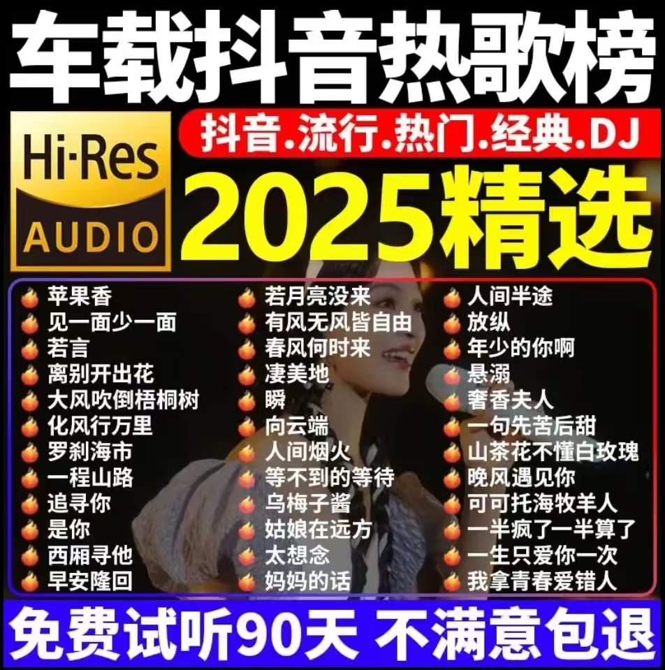 2025新款抖音热门歌曲车载U盘最新网红流行热歌无损高音质音乐U盘