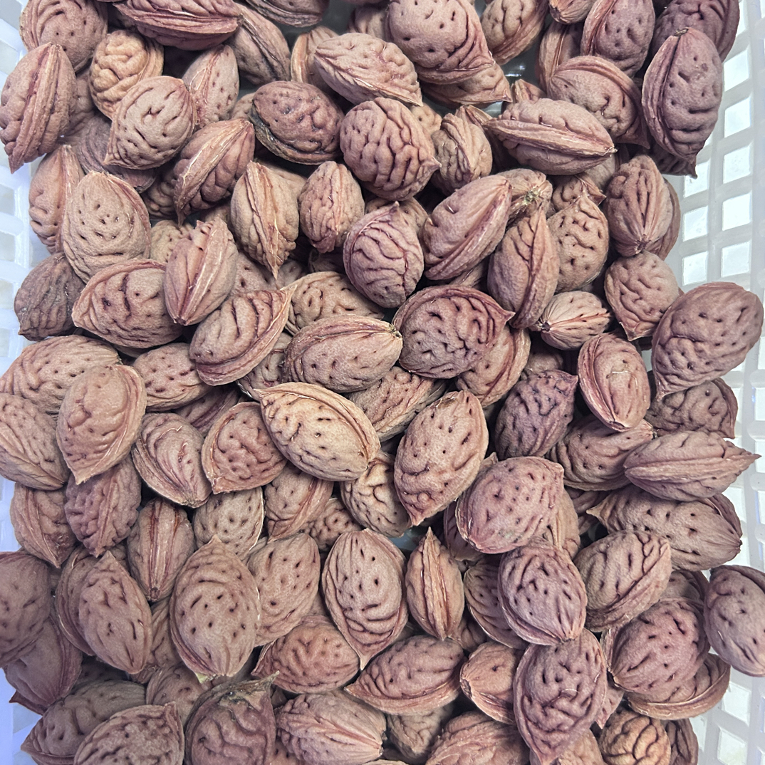 碧桃核 手串 雕刻 首选料 每筐都是同树 细看直播间见
