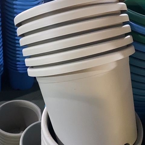 树脂特价5号6个无托灰白