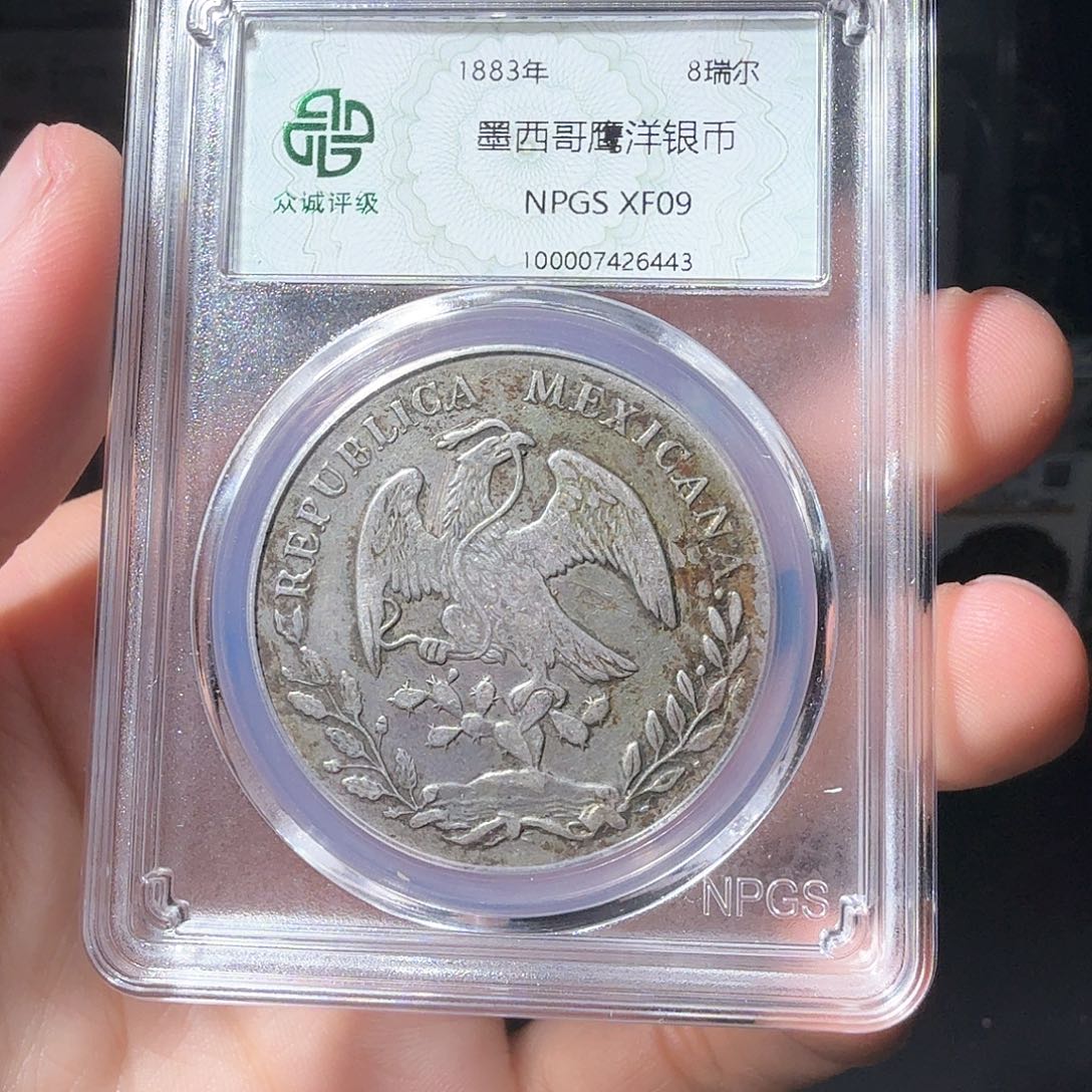 银徐****鹰洋一个小师妹53