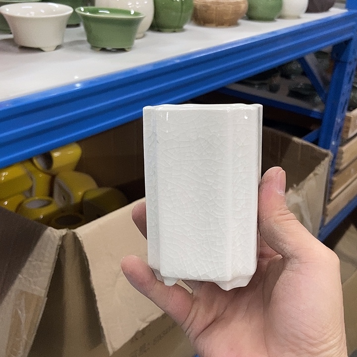 花盆单场满9.9发货6×10