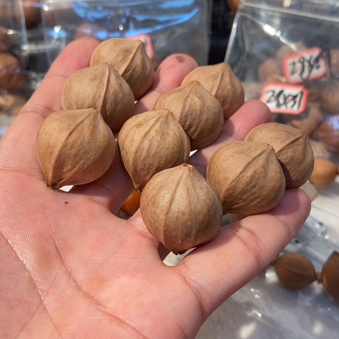 吊坠橄榄核橄榄橄榄