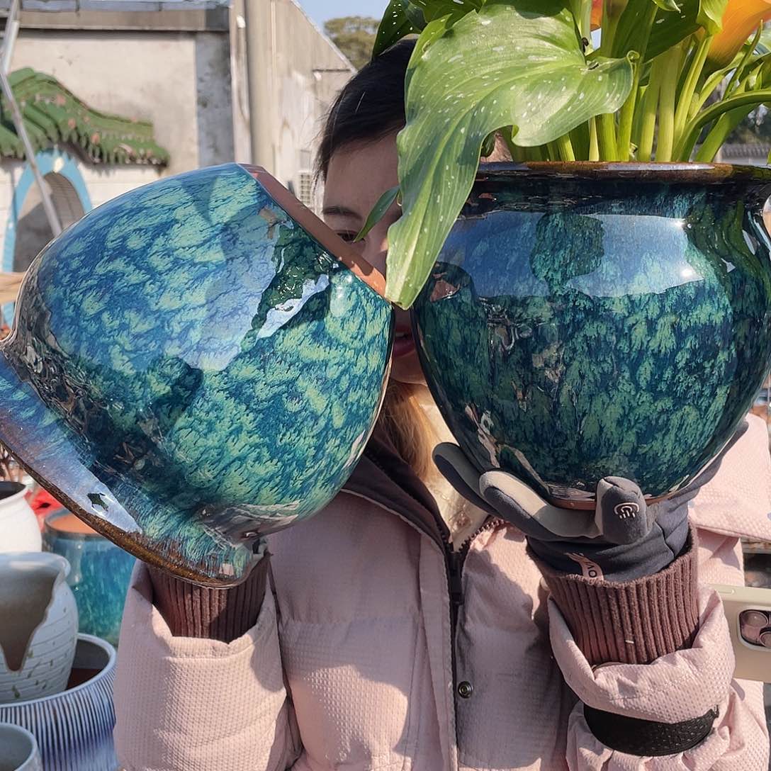 红陶王嫂花盆直播0224-b382
