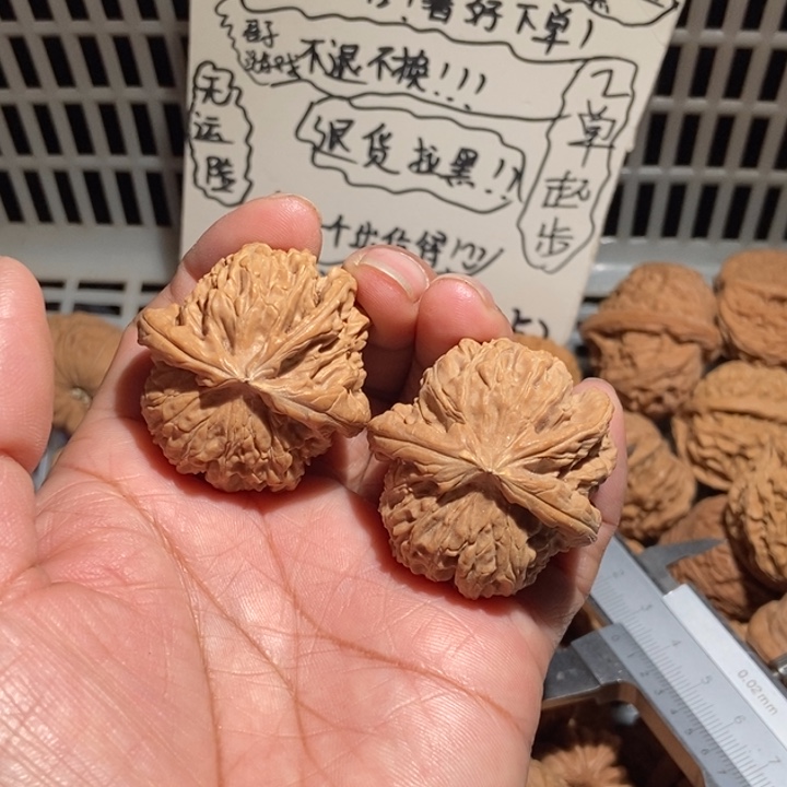 梦***落核桃白狮子三棱尺寸3微黄