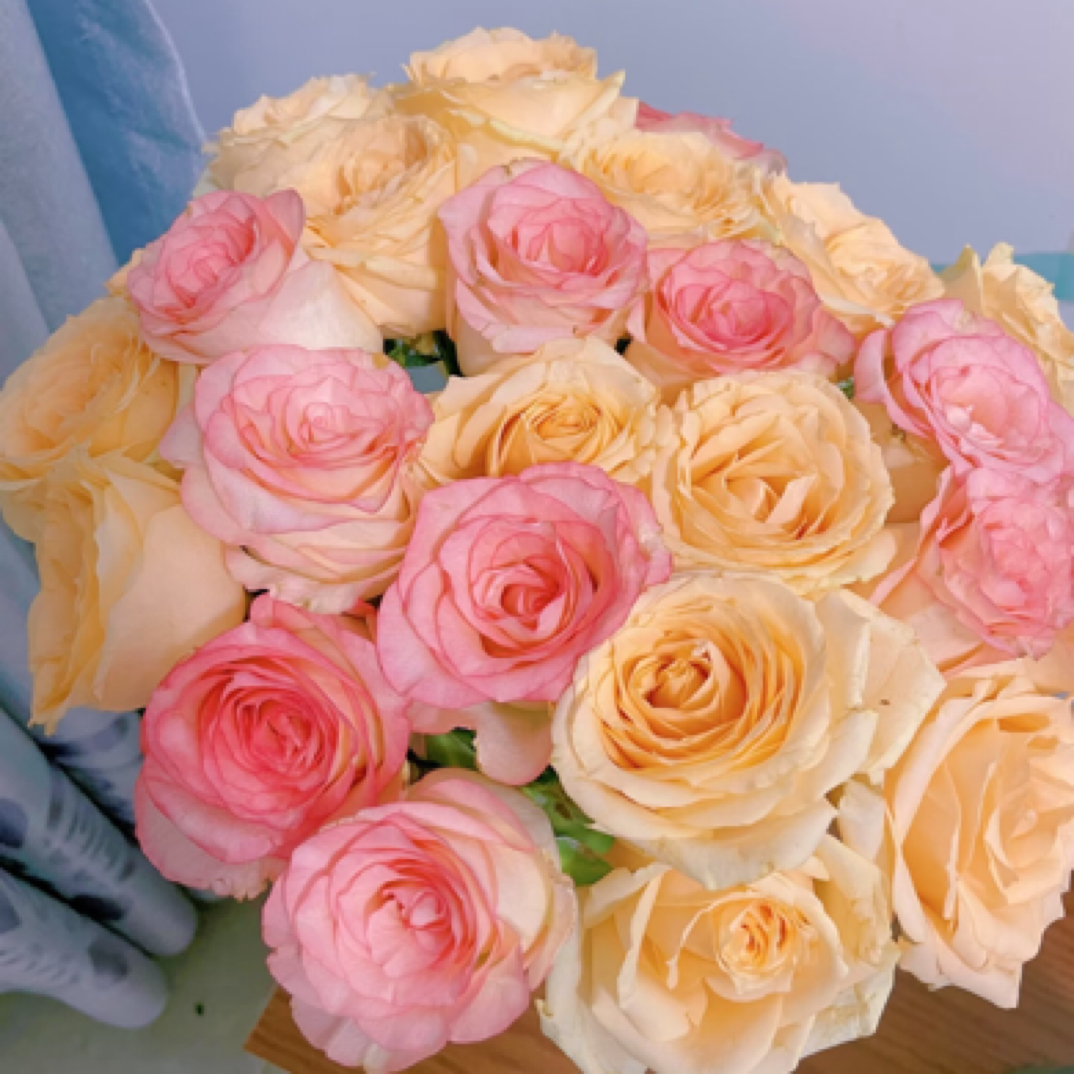 「绝配组合」艾莎与香槟，超绝搭配，A/B级发货，云南玫瑰20支装