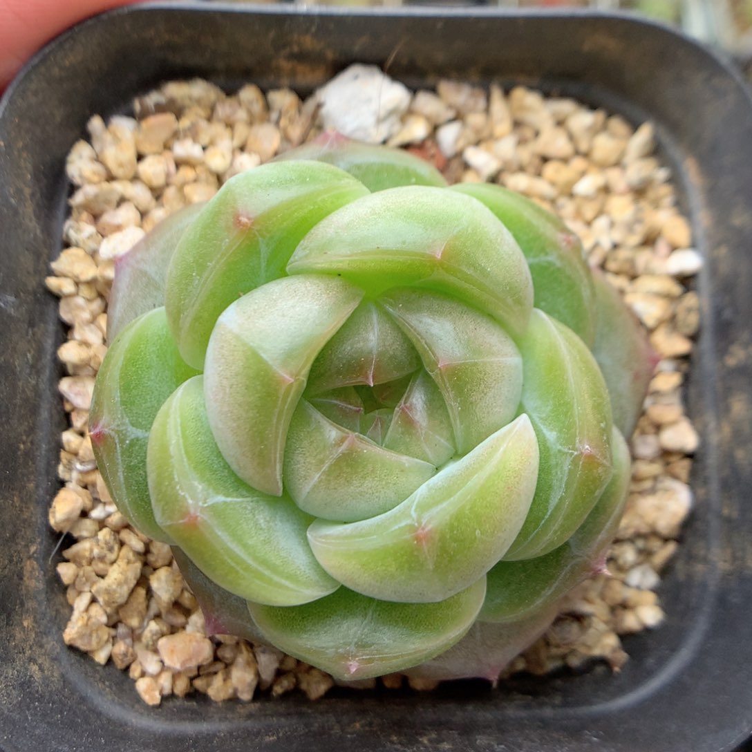 E28优选珍妮y y y y y y y