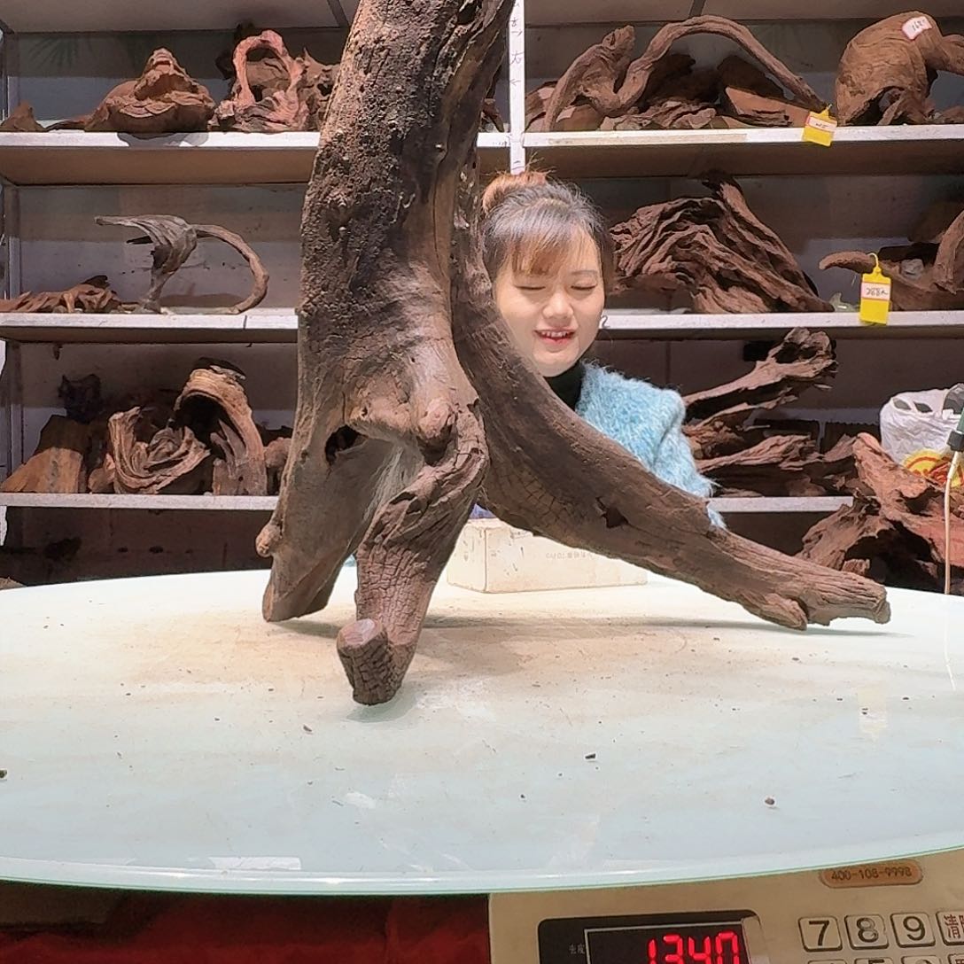 倍褚沉木，不包损必褪色鱼****景6199