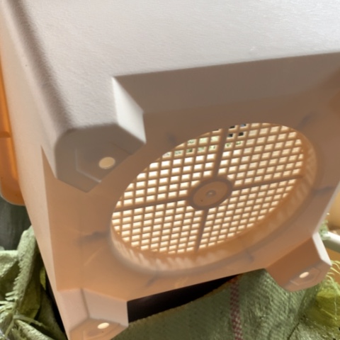 4个米色球根无托方形