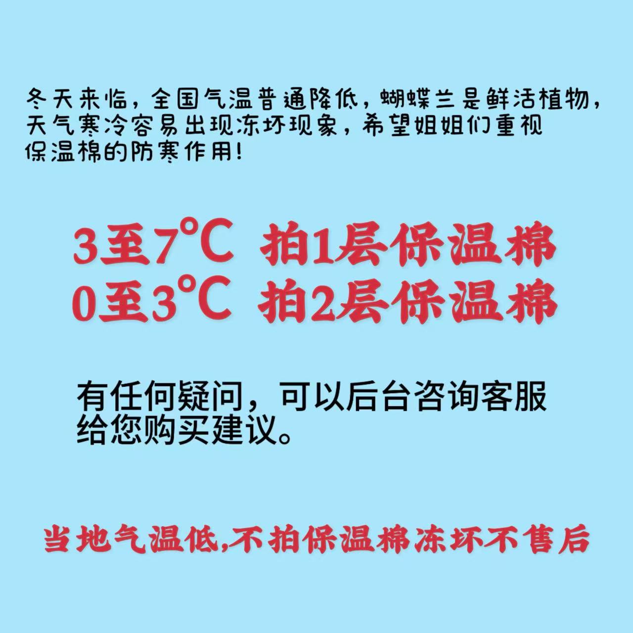 【保温棉跟单随拍】7度以下 冬季防冻 不单拍冻伤不售后