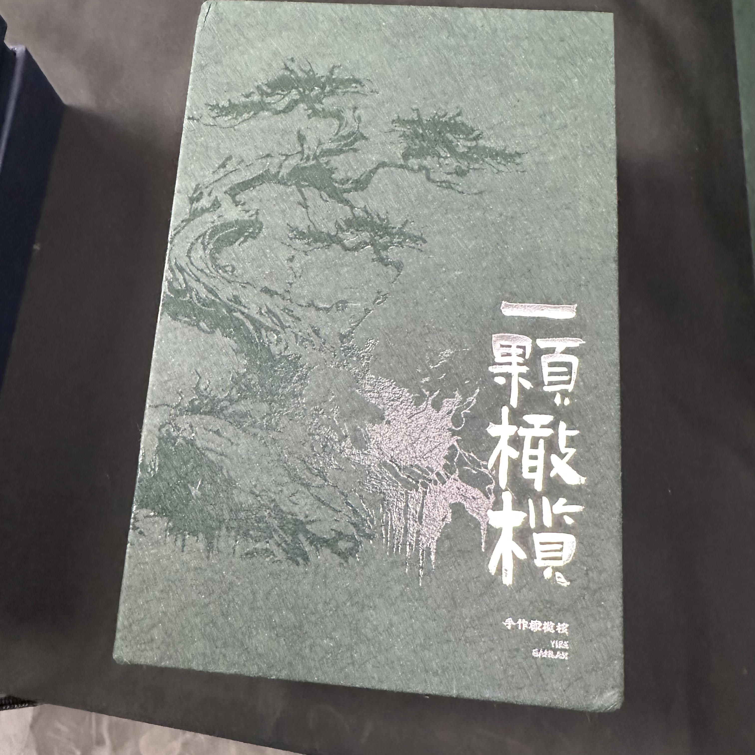 核物志—— 一颗橄榄 盒子———橄榄核雕