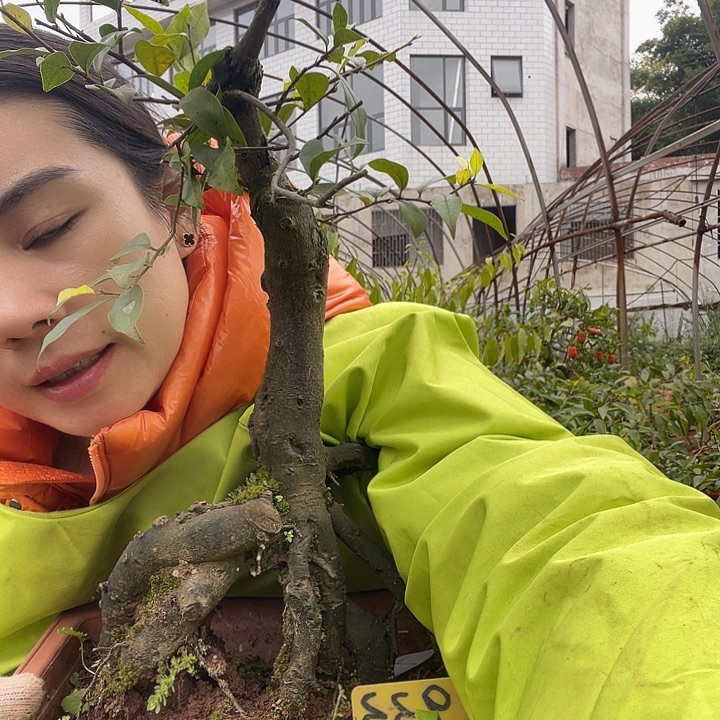 祝***利无花朵9999999999999999