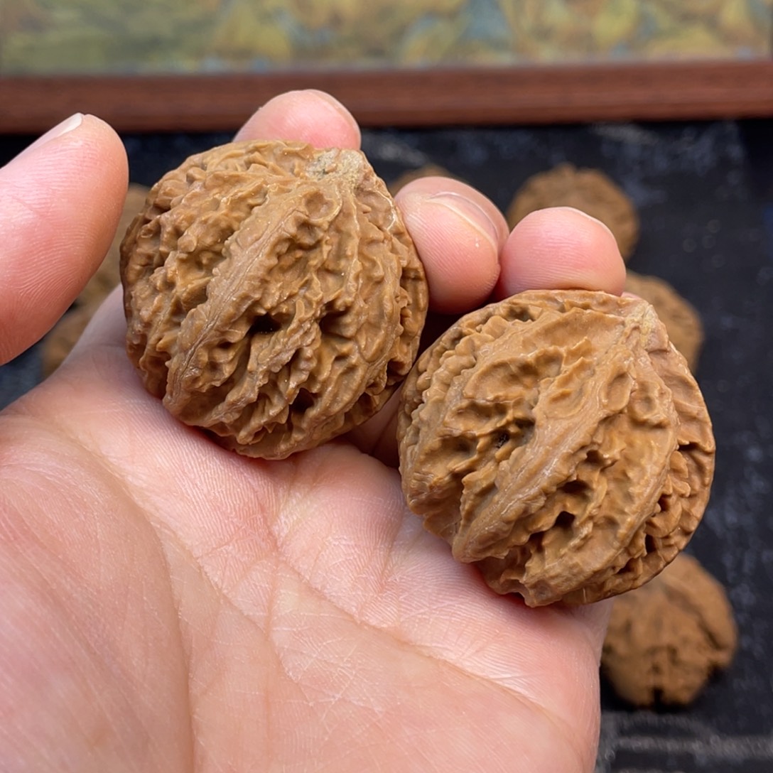 核桃9号链接999999