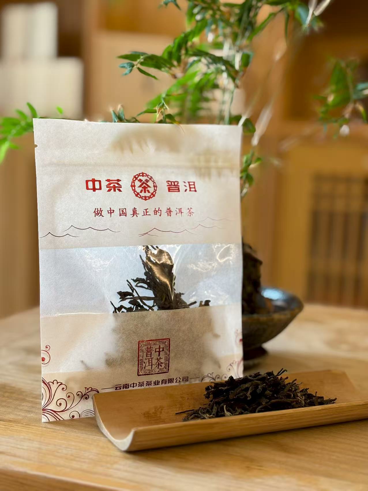 2020 年 小户赛古树茶（生茶）紧压茶