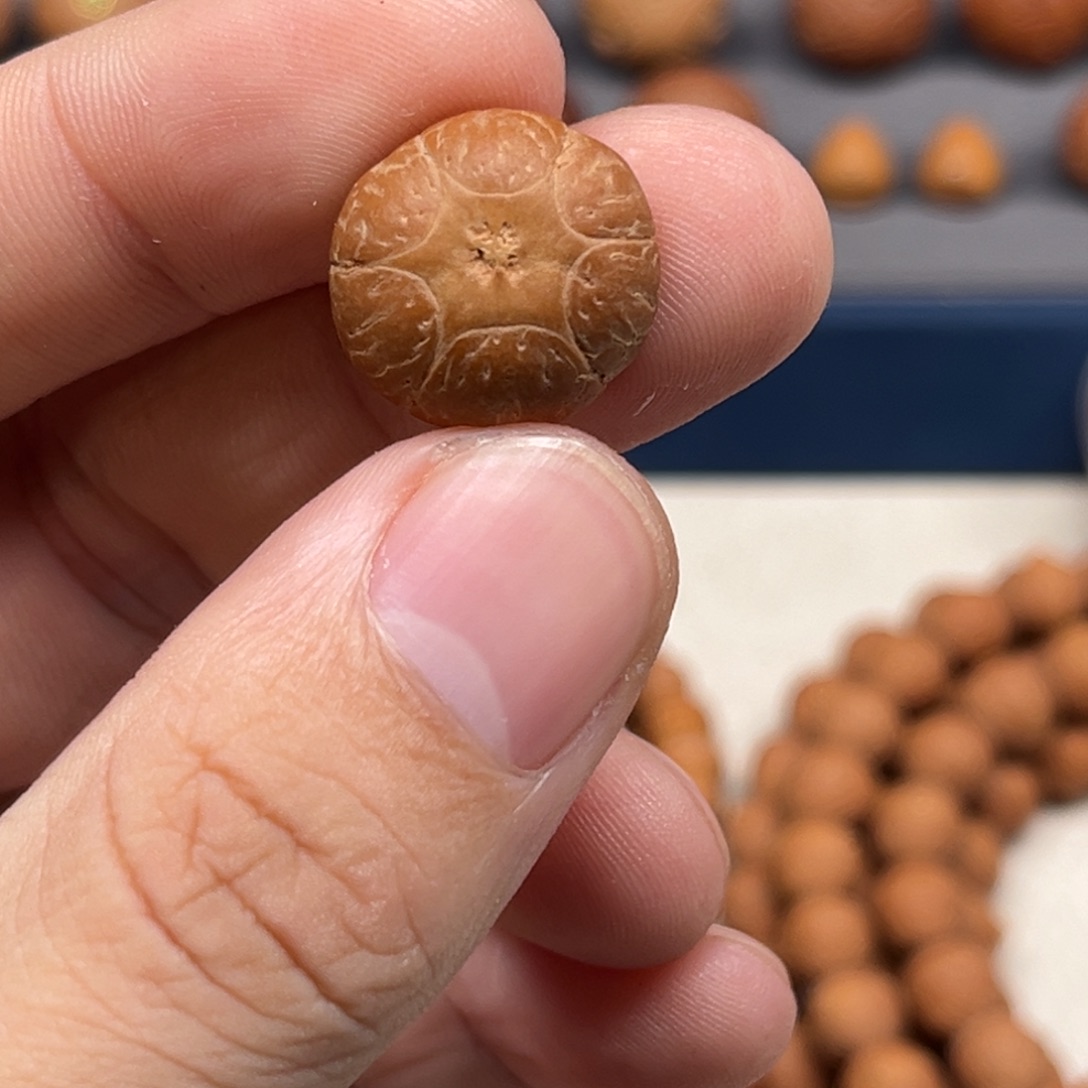 千***·吊坠凤眼菩提实心经营的经营理念是