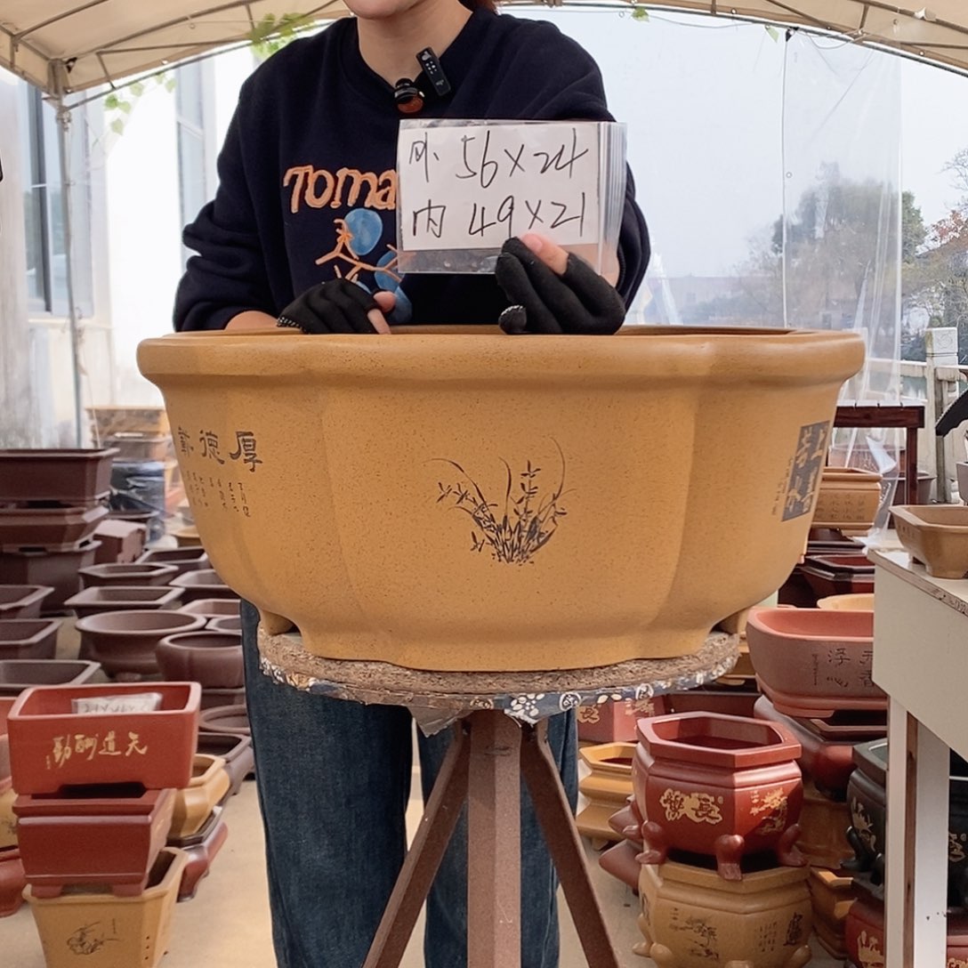 紫砂花盆紫砂花盆