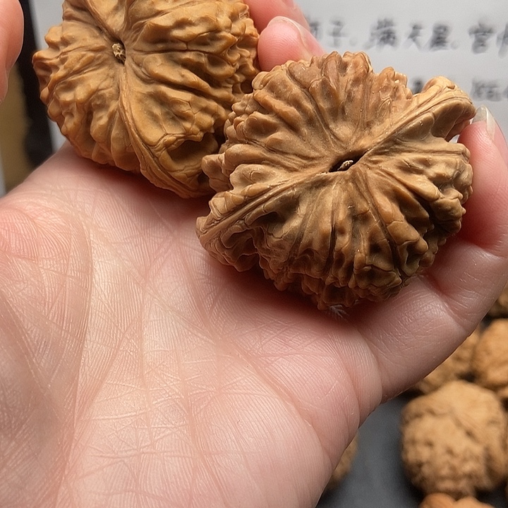 桦***馆大大大大大大官帽色差反油